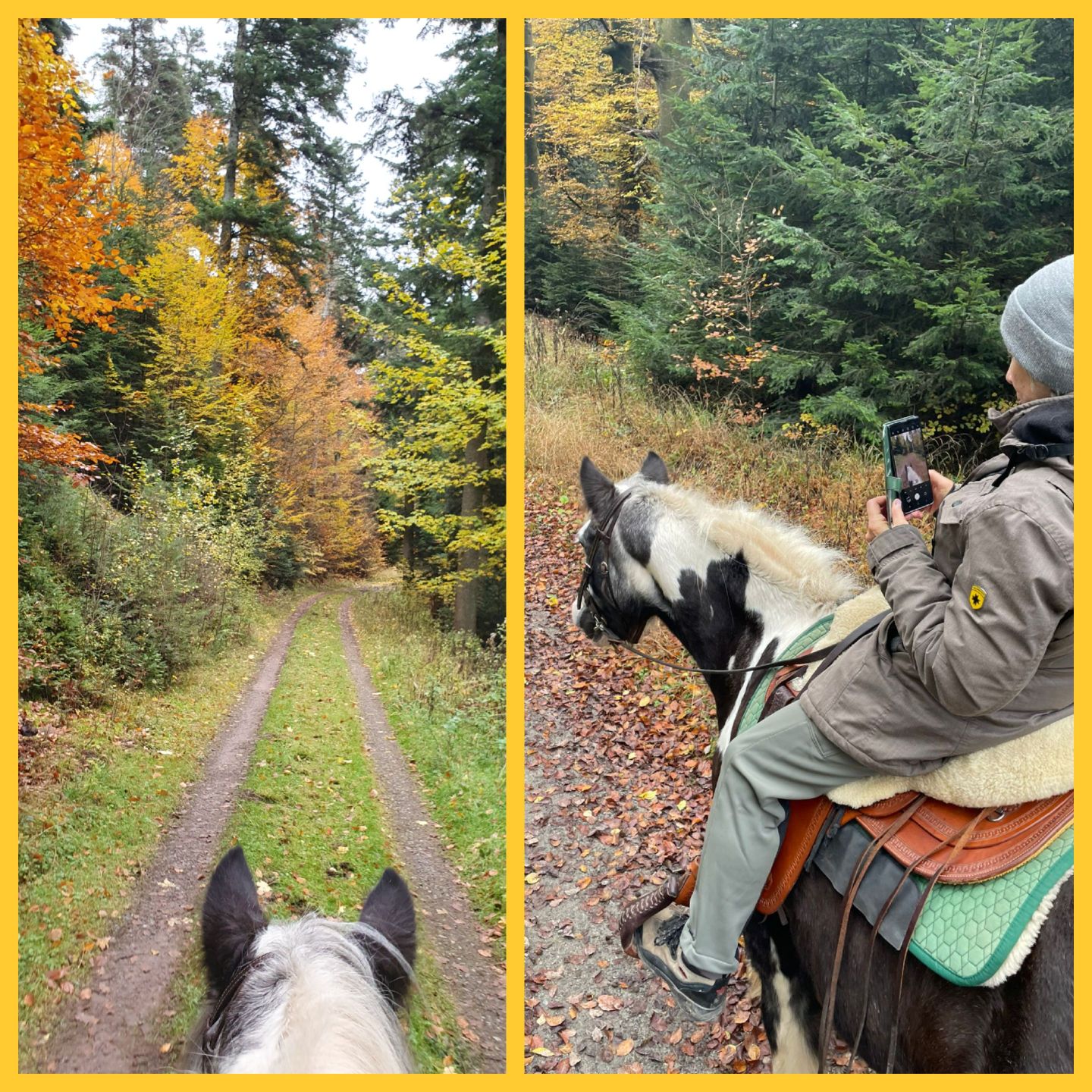 2023 11 November 590